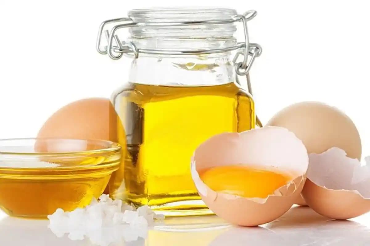 Yumurta ve Zeytinyağı ile Doğal Saç Maskesi Hazırlama ve Bakım Yöntemleri