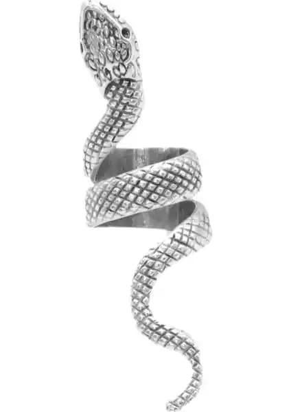 Erkek Yüzükleri Karşılaştırması: Antik Güç Kaplama ve Siyah Sade Tasarımlar